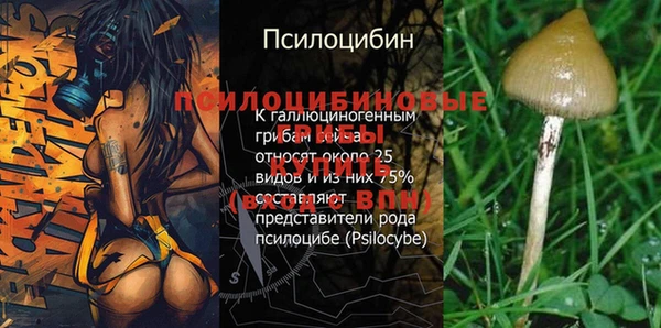 бошки Богородск