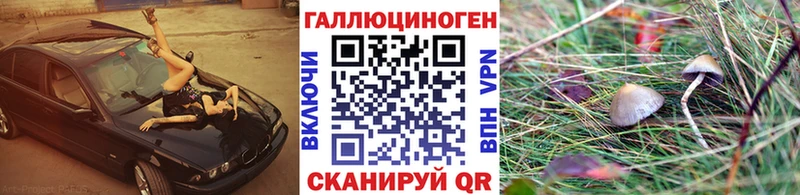 Галлюциногенные грибы Magic Shrooms  ссылка на мегу как войти  Петропавловск-Камчатский 
